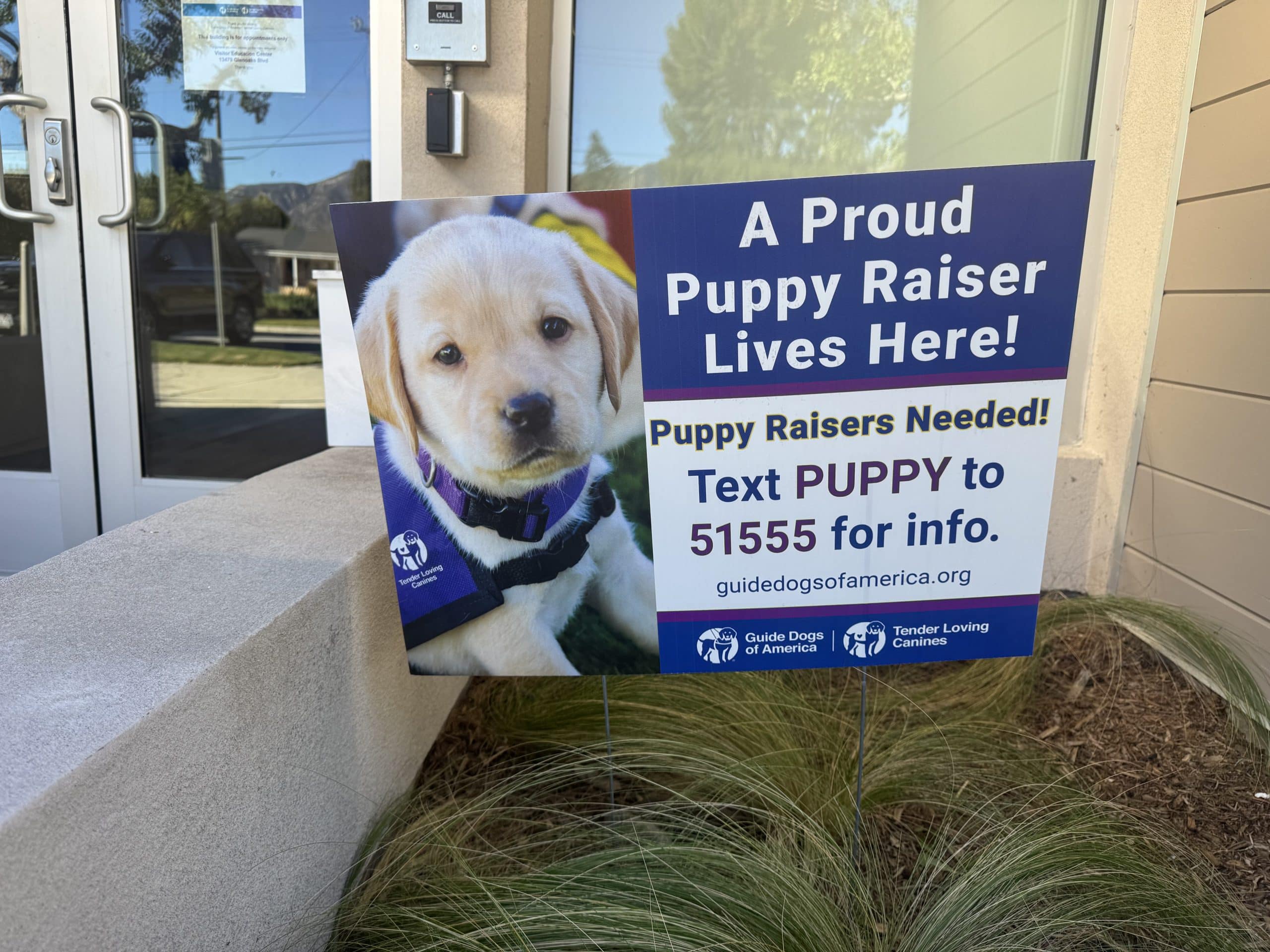 Yard Sign Printing Result — Guide Dogs of America _ Imagination Works Graphics And Printing